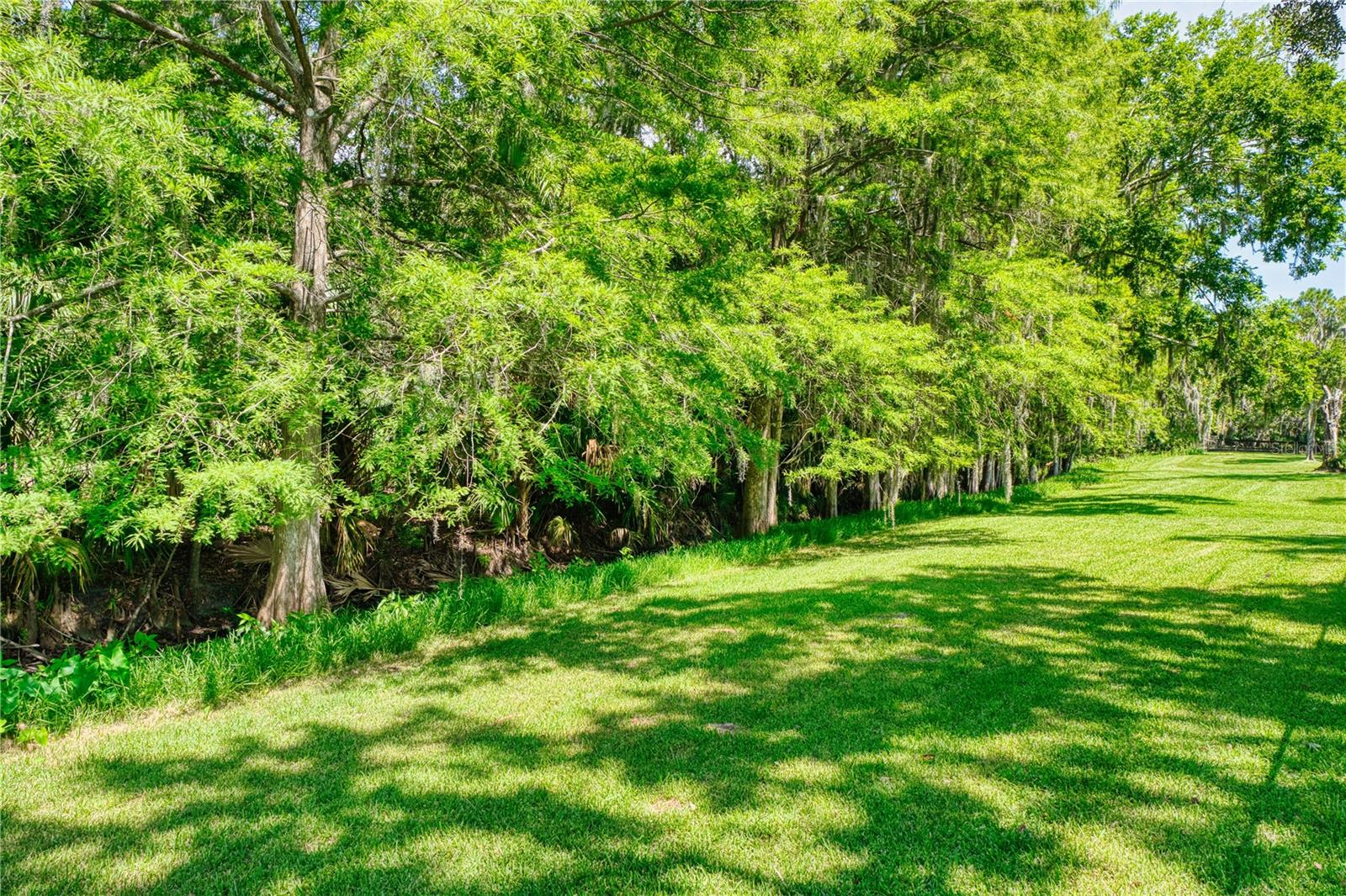 Image 28 of 62 For 14 Black Oak Court