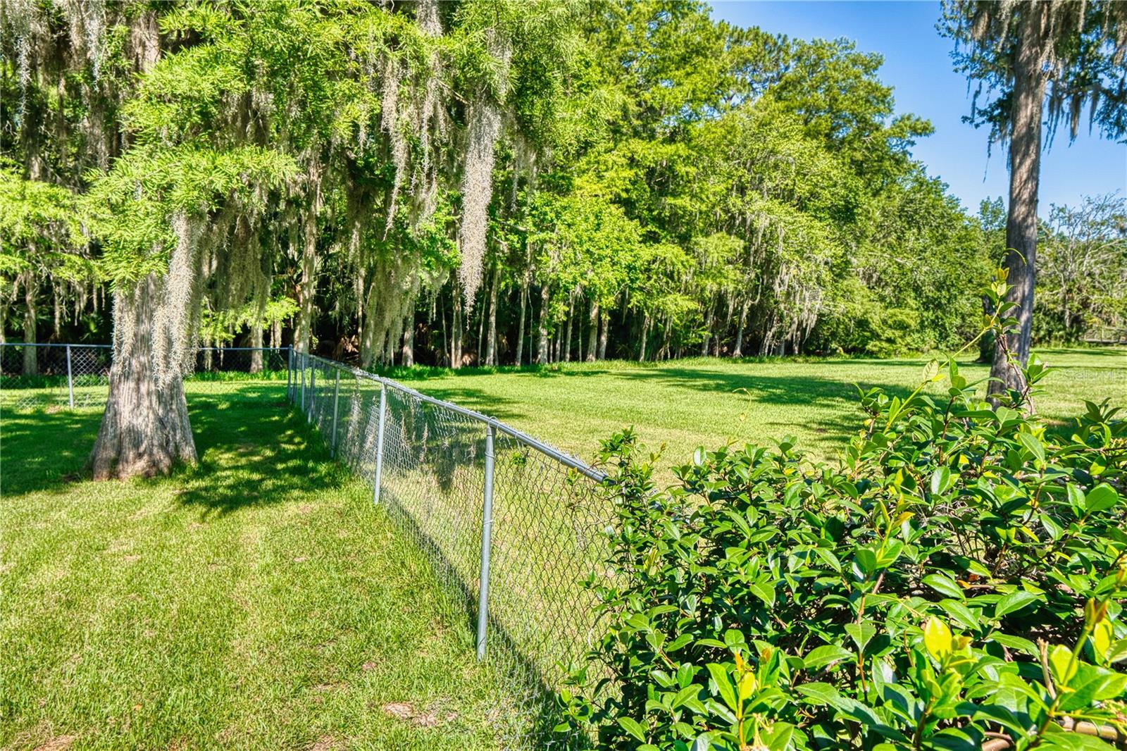 Image 30 of 62 For 14 Black Oak Court