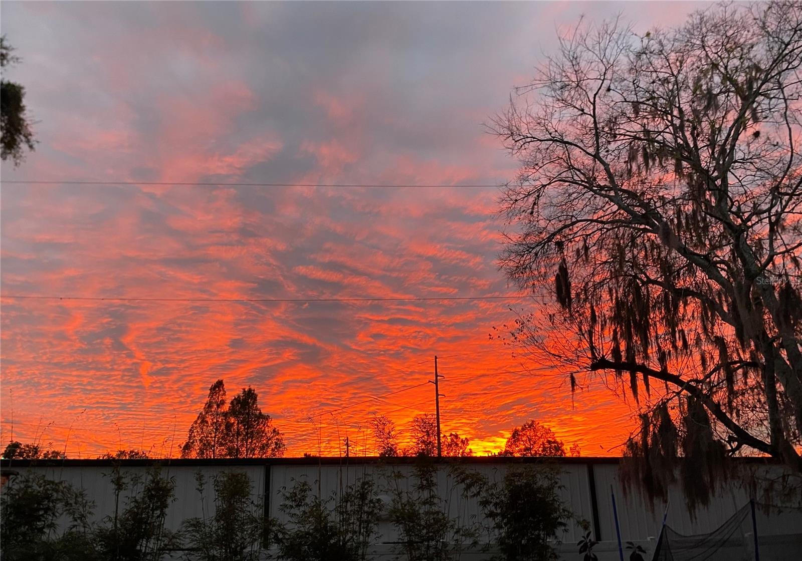 Image 24 of 52 For 428 Longwood Circle