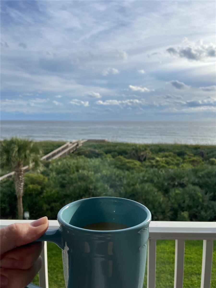 Image 30 of 64 For 600 Cinnamon Beach Way 531