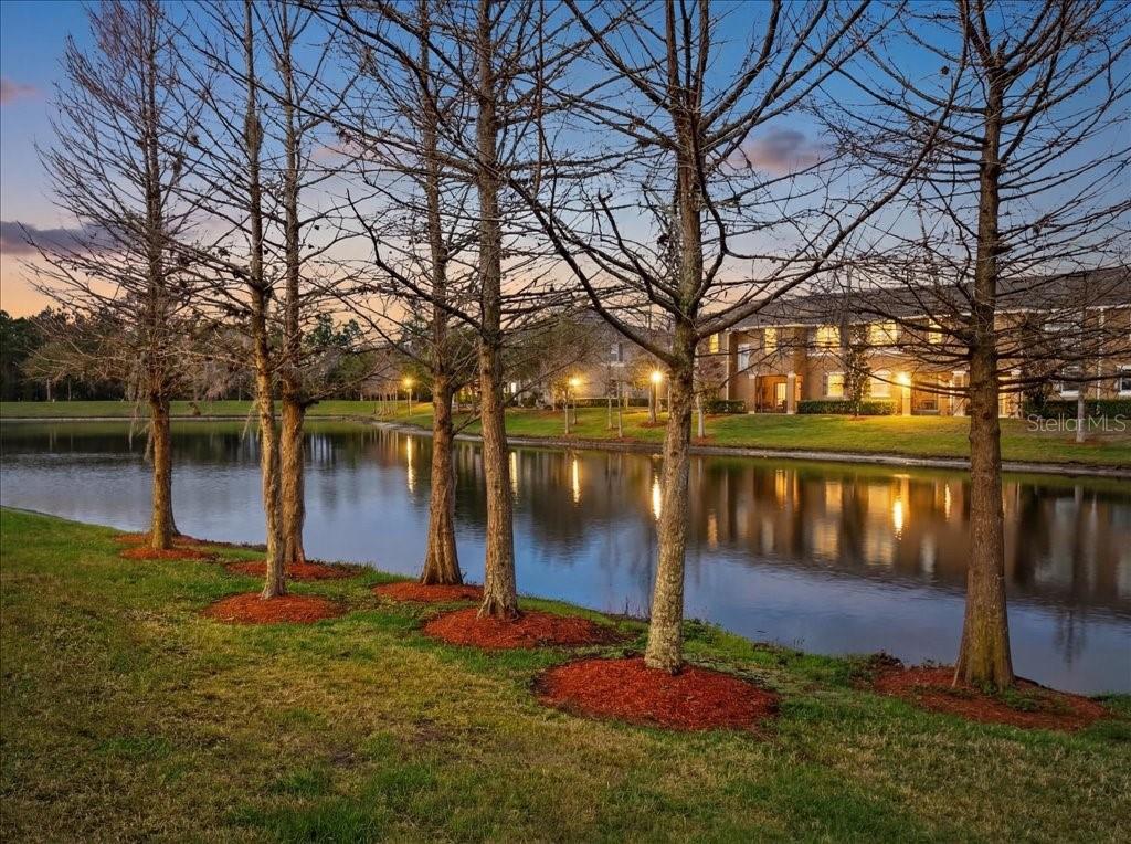 Image 21 of 36 For 165 Aston Grande Drive