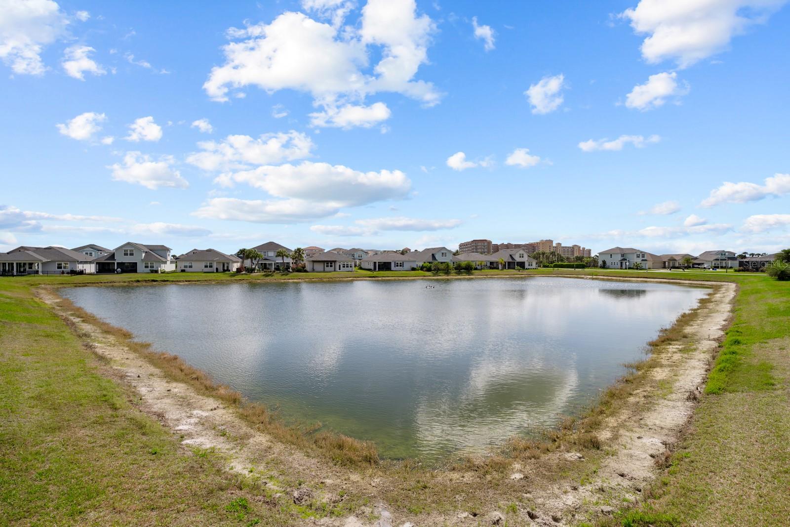 Image 46 of 90 For 41 Los Lagos Boulevard