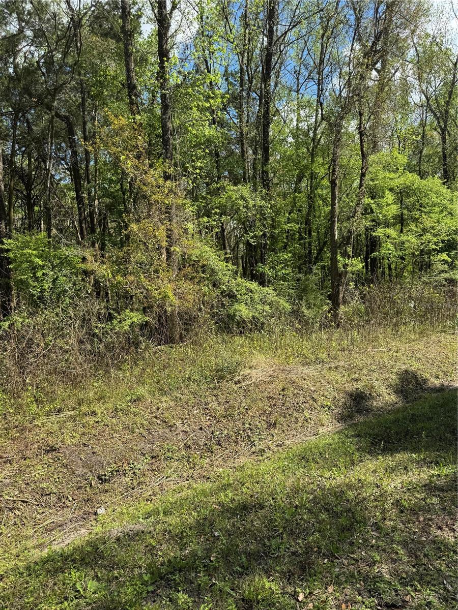 Details for 10140 Yeager Avenue, HASTINGS, FL 32145