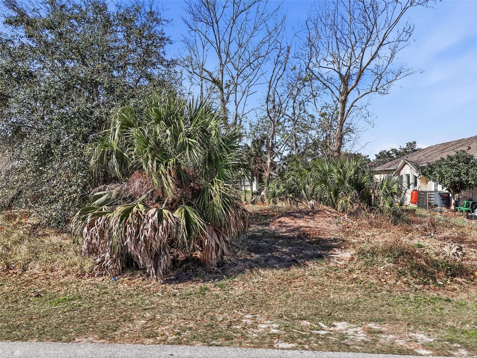 Image 11 of 24 For 35 Coral Reef Court N