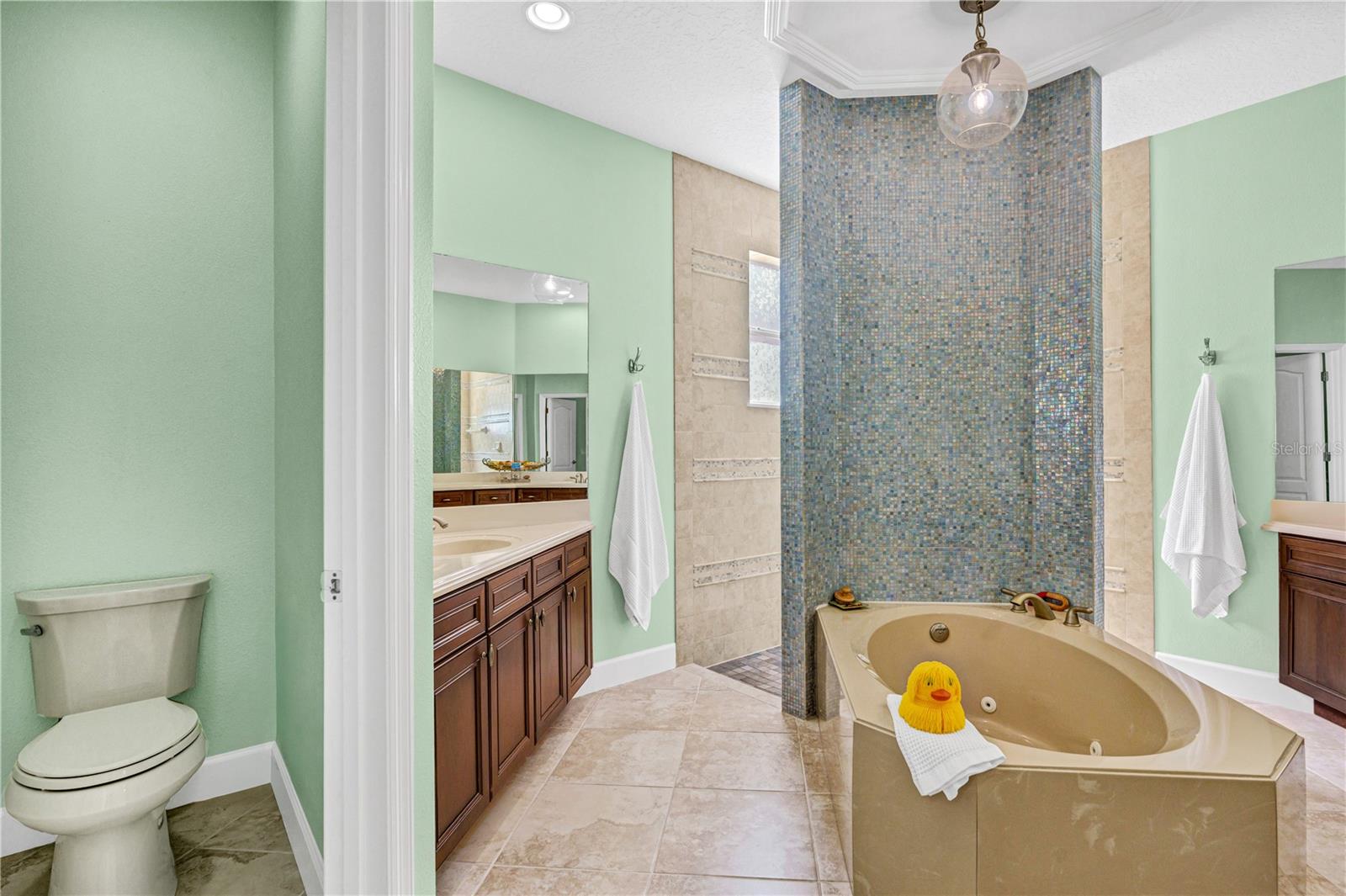 Image 34 of 53 For 425 Champion Ridge Drive