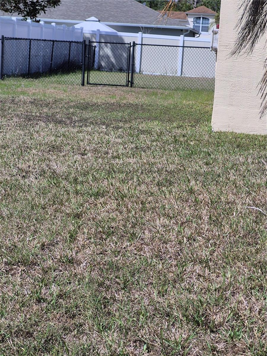 Image 2 of 33 For 23 Sea Shark Path