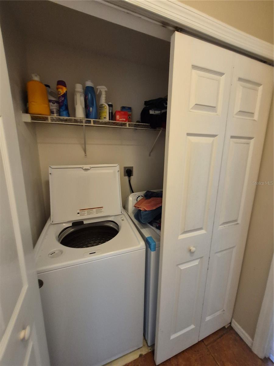 Image 20 of 33 For 23 Sea Shark Path