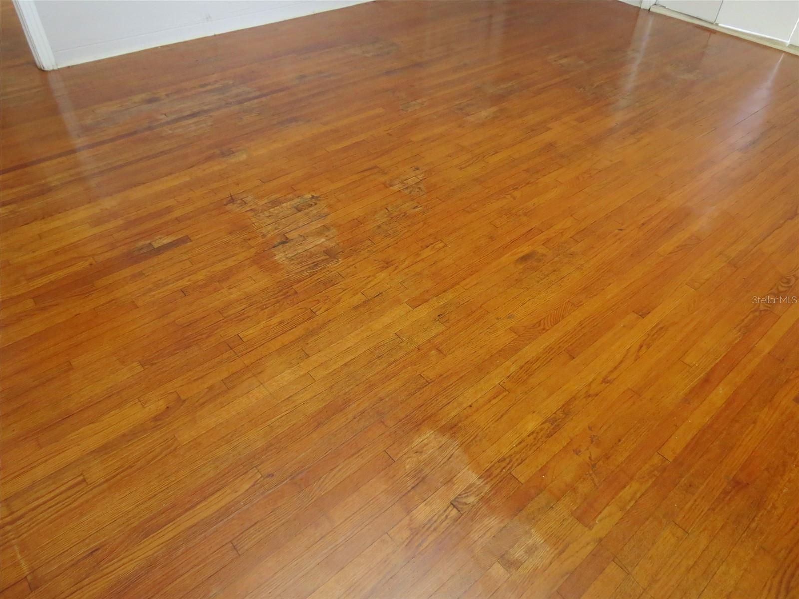 Image 10 of 18 For 122 Magnolia Drive