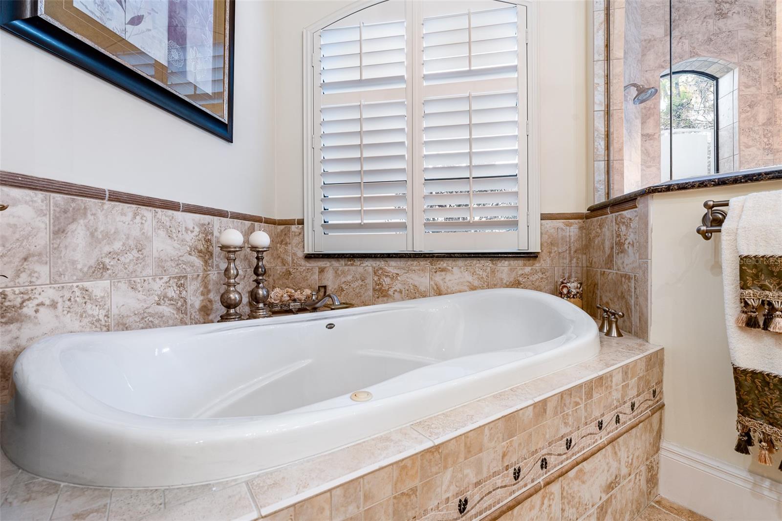 Image 39 of 100 For 7341 Bella Foresta Place