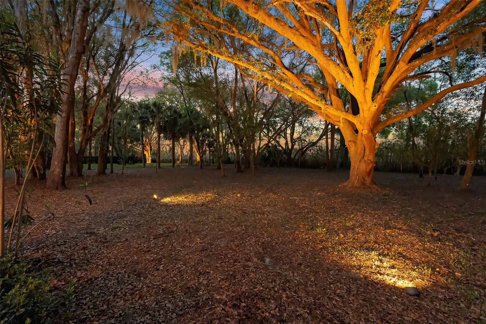 Image 96 of 100 For 7341 Bella Foresta Place