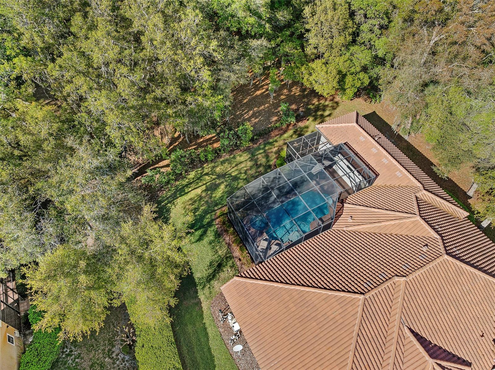 Image 98 of 100 For 7341 Bella Foresta Place