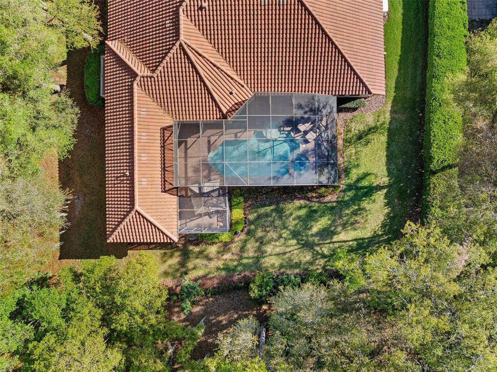 Image 99 of 100 For 7341 Bella Foresta Place