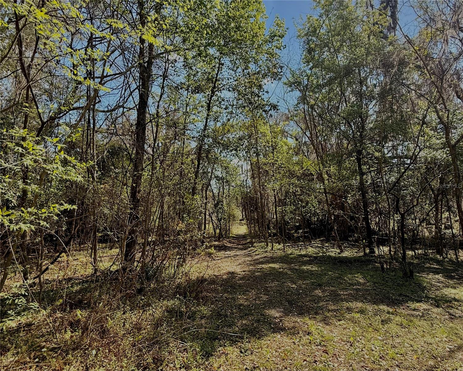 Image 43 of 44 For 3425 156th Avenue