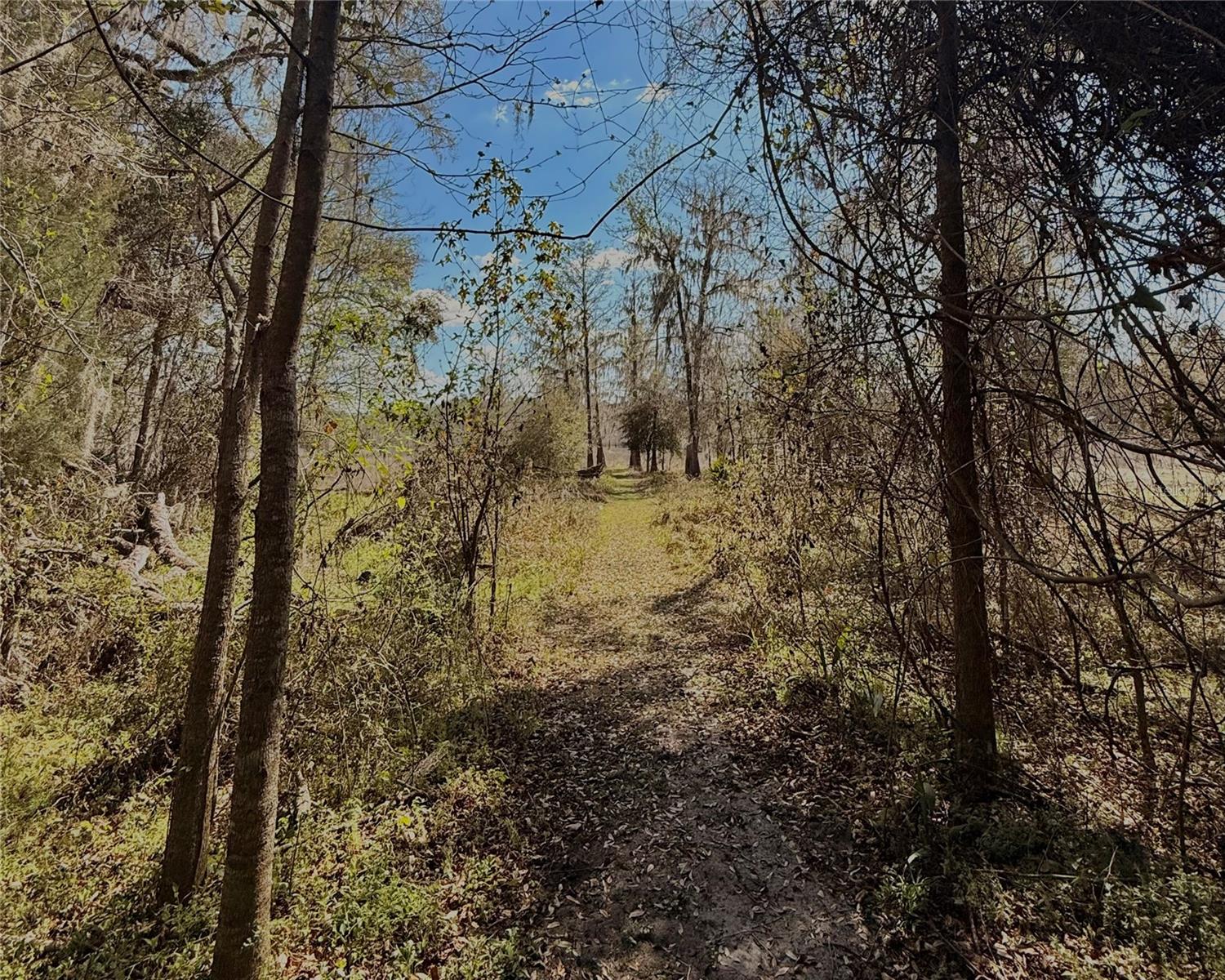 Image 44 of 44 For 3425 156th Avenue