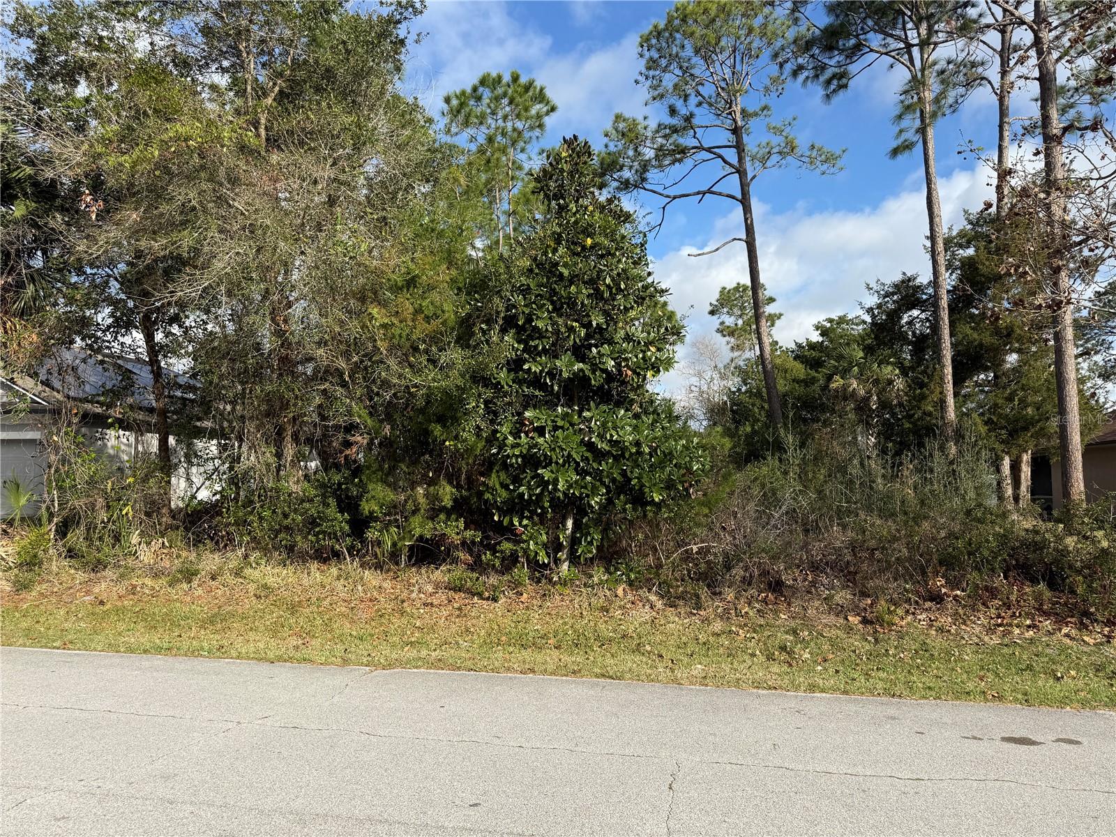 Image 5 of 5 For 91 Ferndale Ln