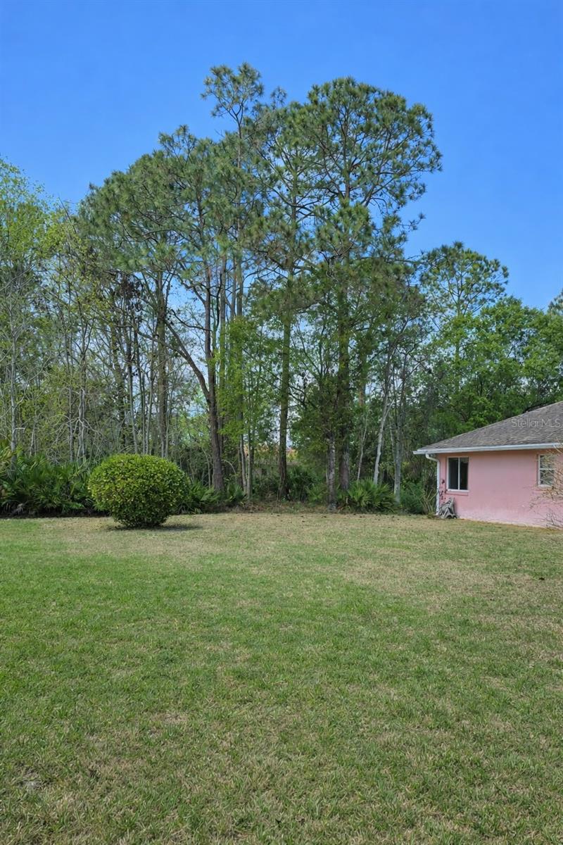 Image 56 of 67 For 12 Warwick Place