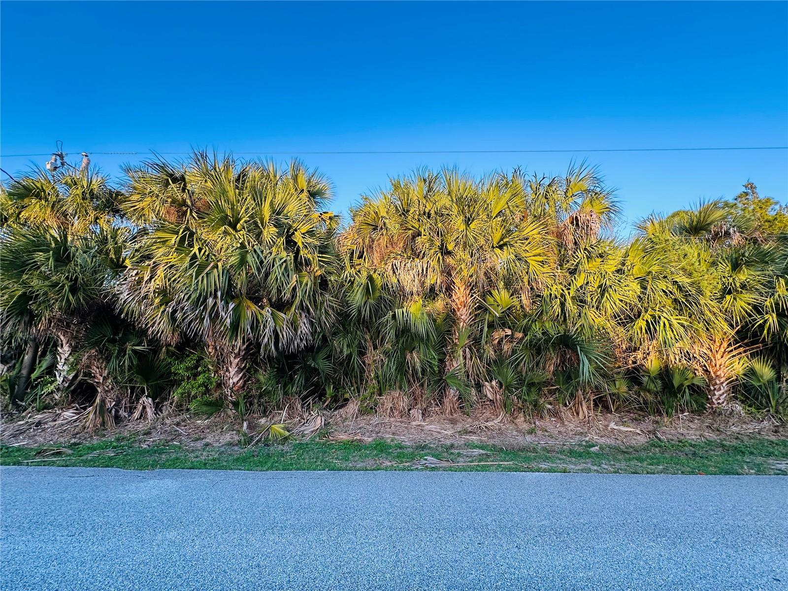 Details for 60 Coral Reef Court N, PALM COAST, FL 32137