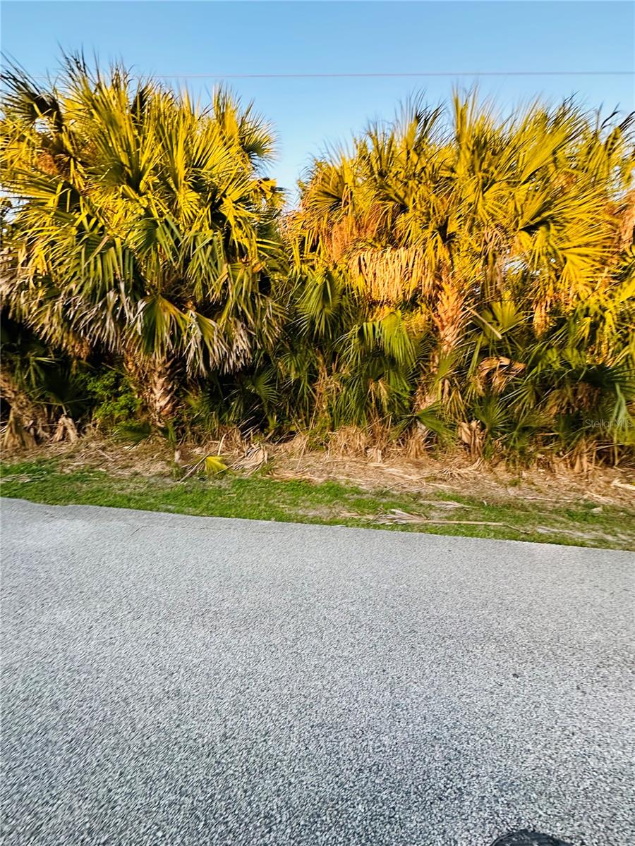 Image 11 of 15 For 60 Coral Reef Court N