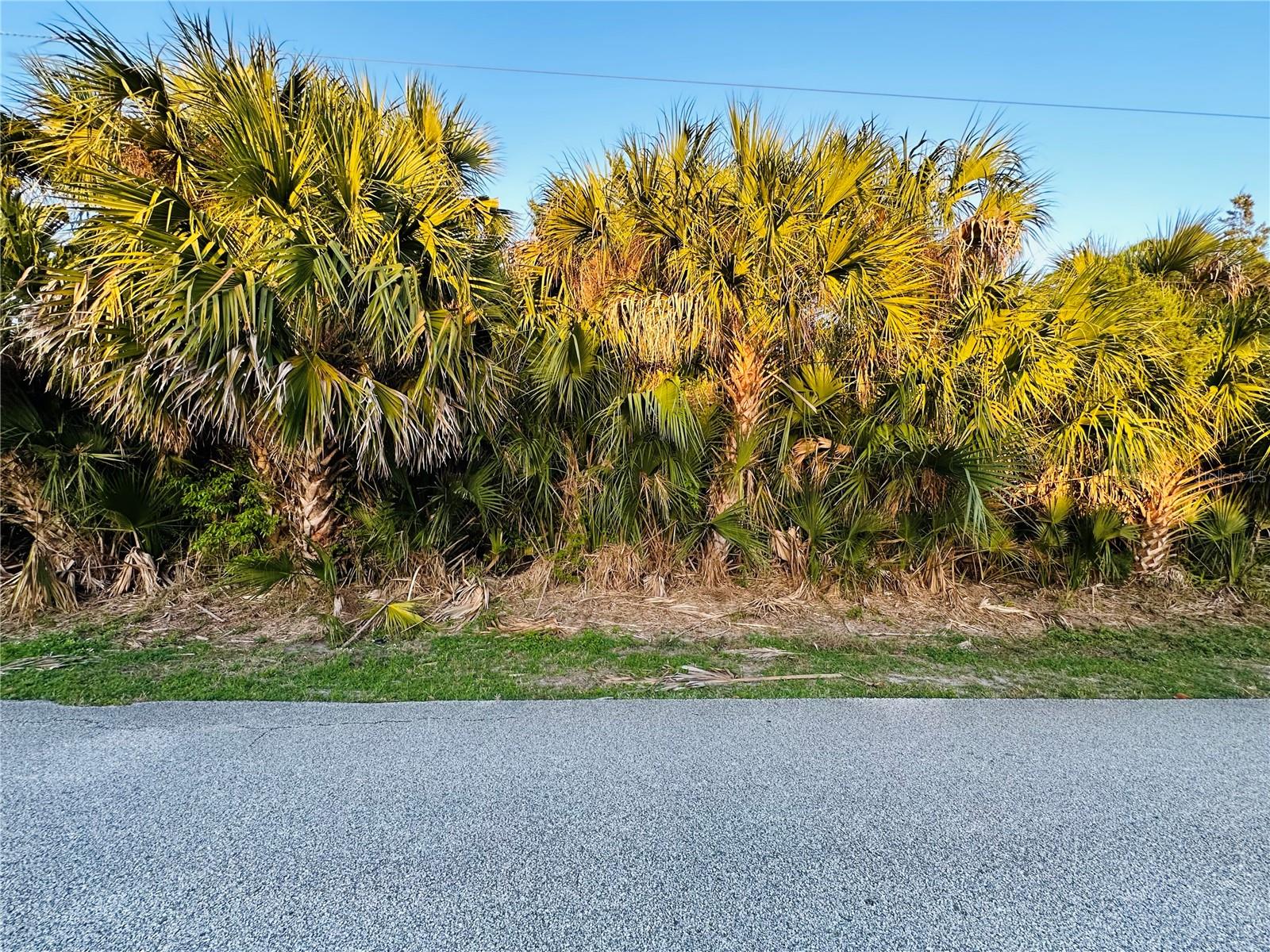Image 13 of 15 For 60 Coral Reef Court N