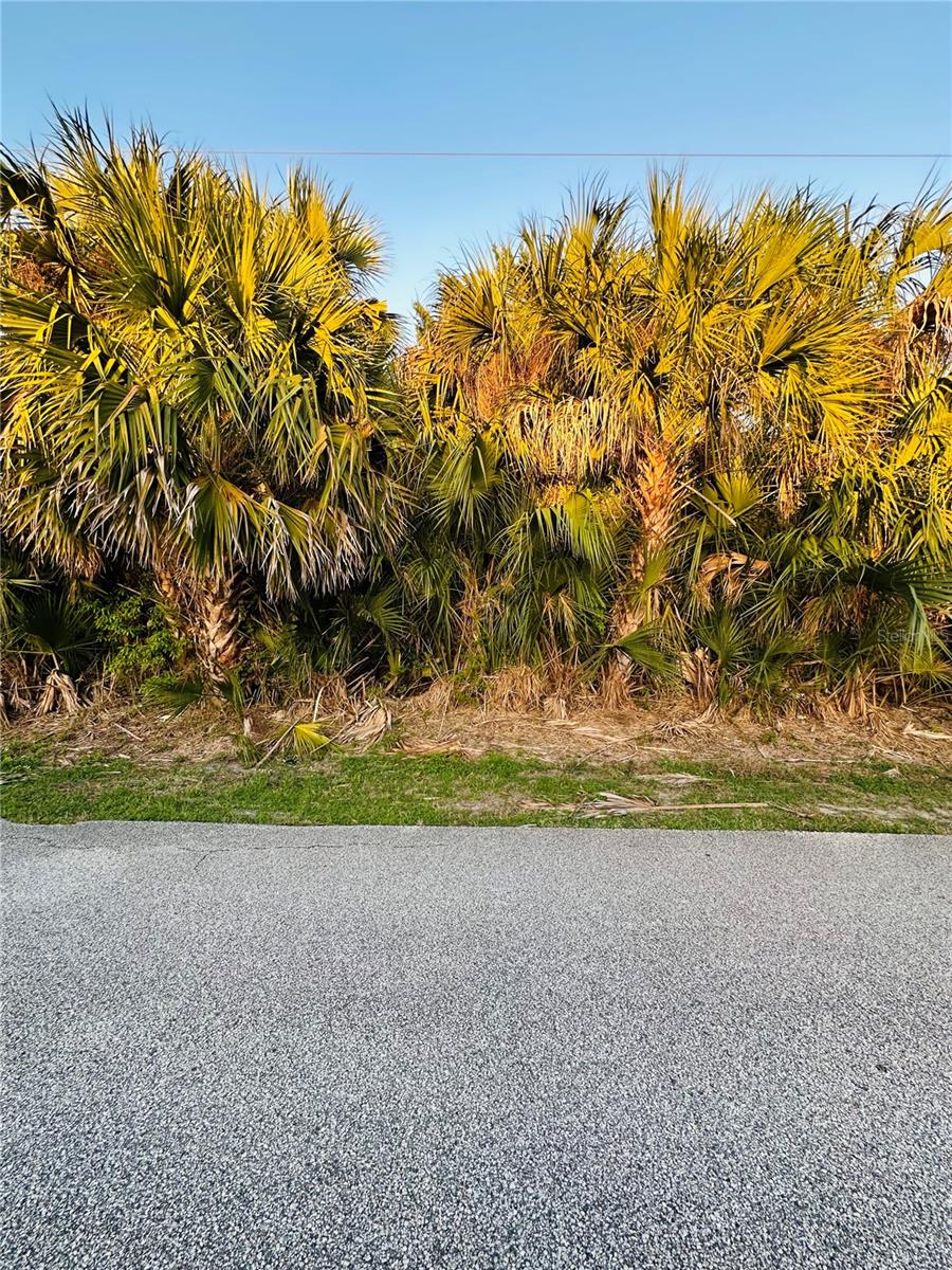 Image 14 of 15 For 60 Coral Reef Court N