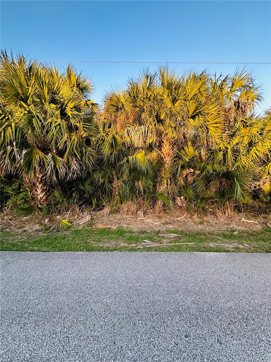 Image 2 of 15 For 60 Coral Reef Court N