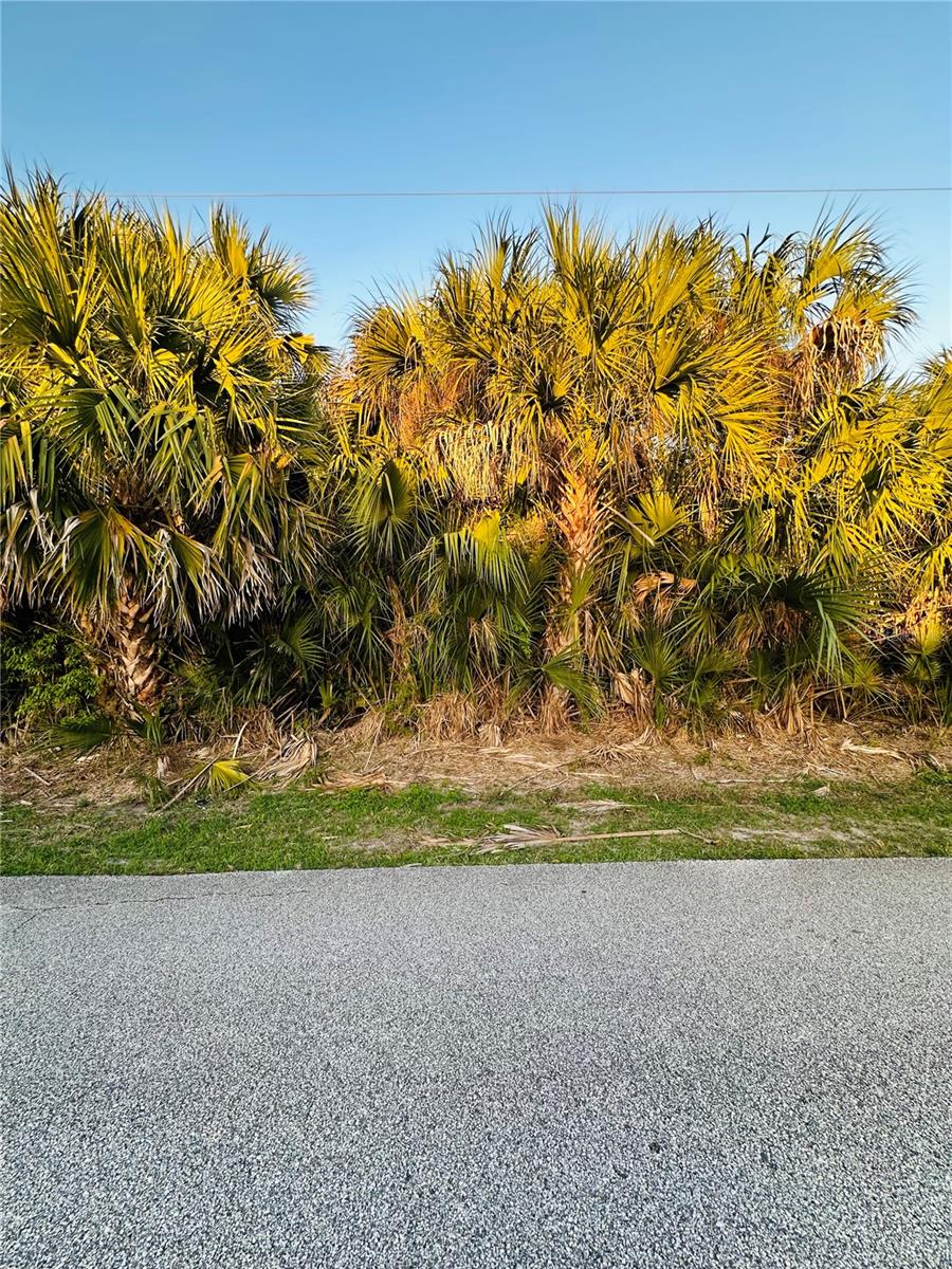 Image 3 of 15 For 60 Coral Reef Court N