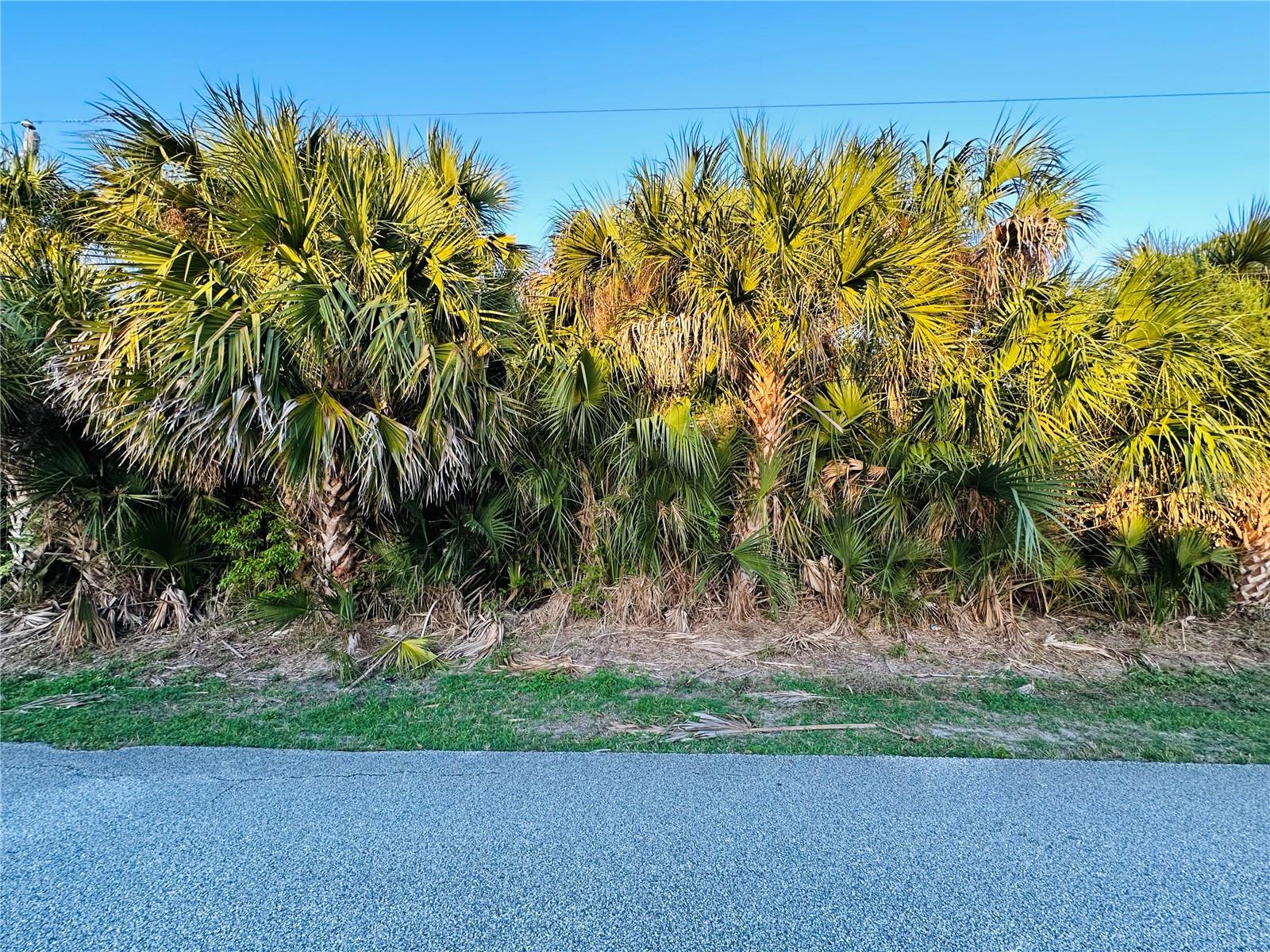 Image 4 of 15 For 60 Coral Reef Court N