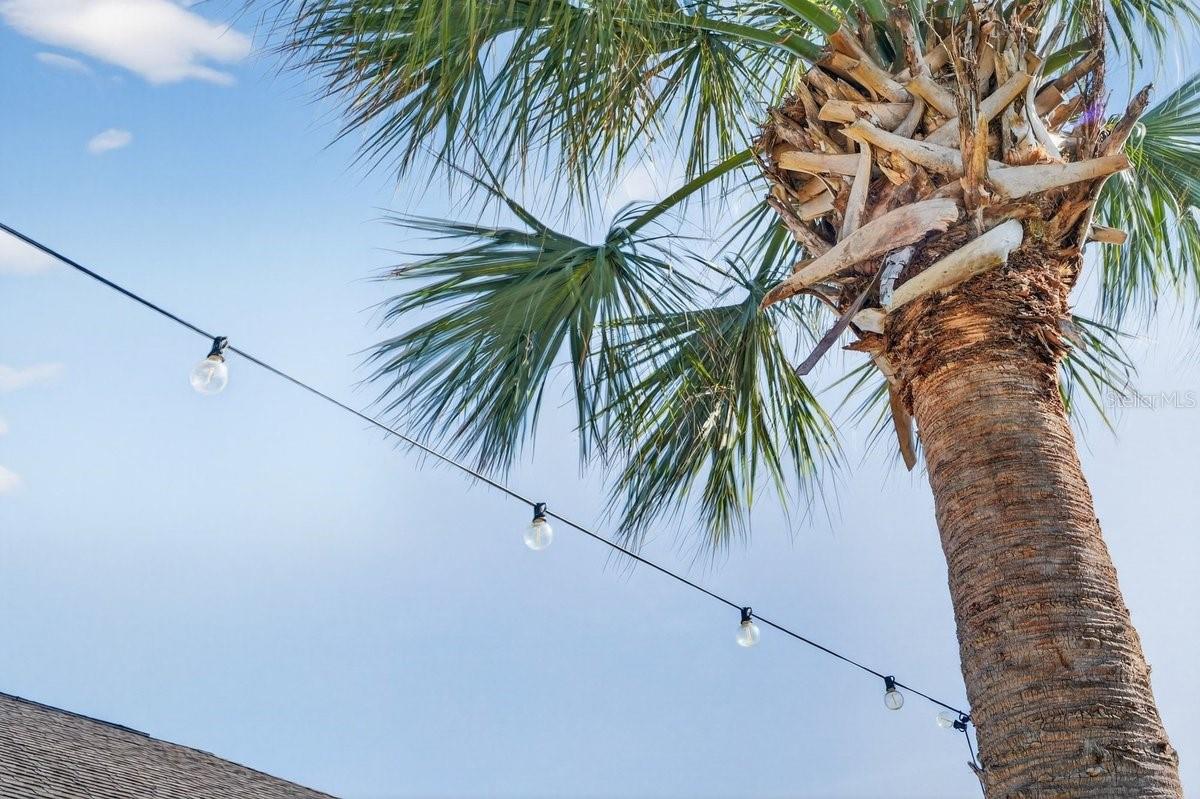 Image 44 of 51 For 130 Heron Dunes Drive