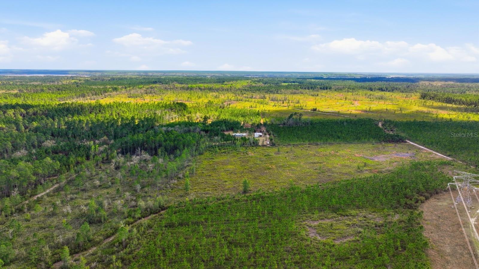 Image 50 of 73 For 299 Cayenne Street