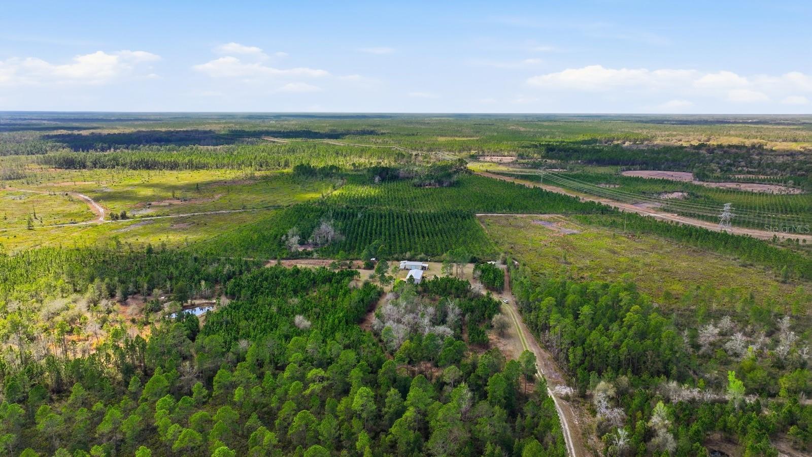 Image 52 of 73 For 299 Cayenne Street