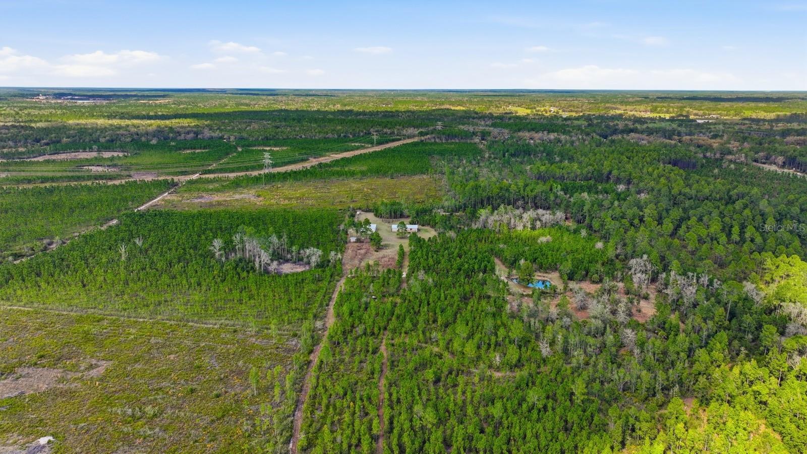 Image 55 of 73 For 299 Cayenne Street