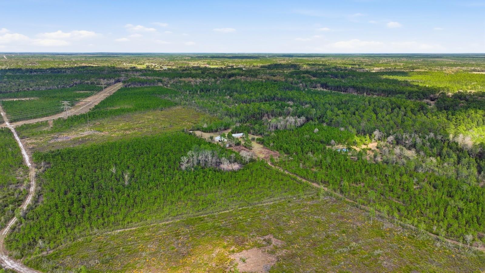 Image 56 of 73 For 299 Cayenne Street