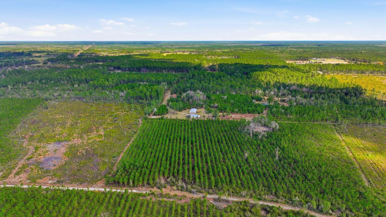 Image 57 of 73 For 299 Cayenne Street