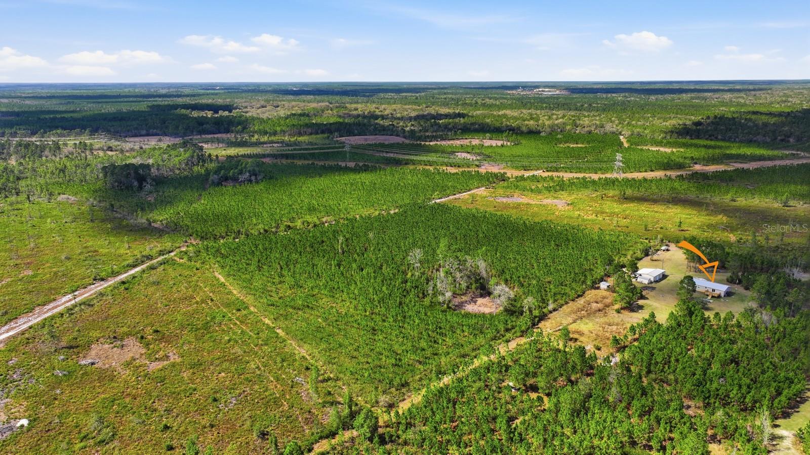 Image 58 of 73 For 299 Cayenne Street