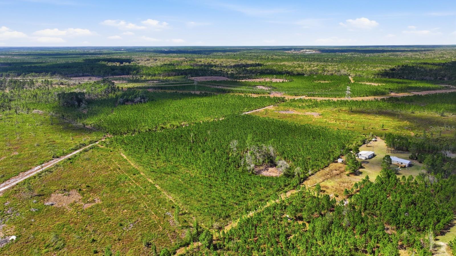 Image 59 of 73 For 299 Cayenne Street