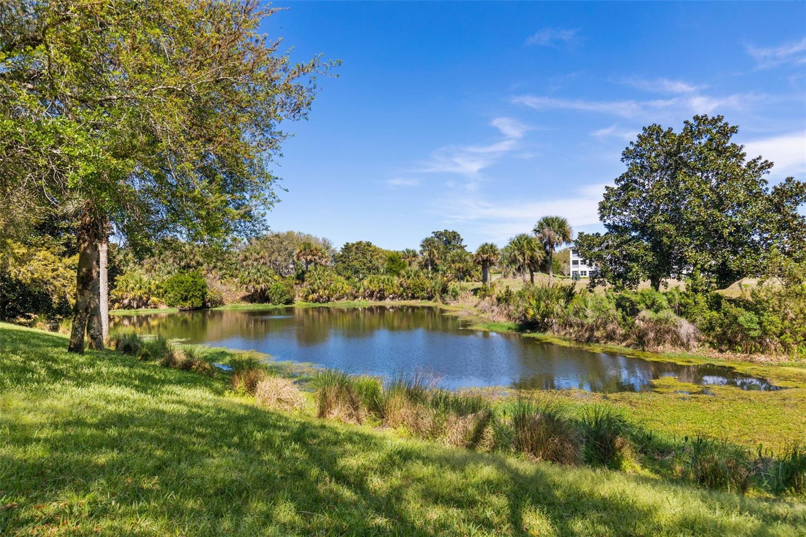 Image 6 of 67 For 10 River Point Drive