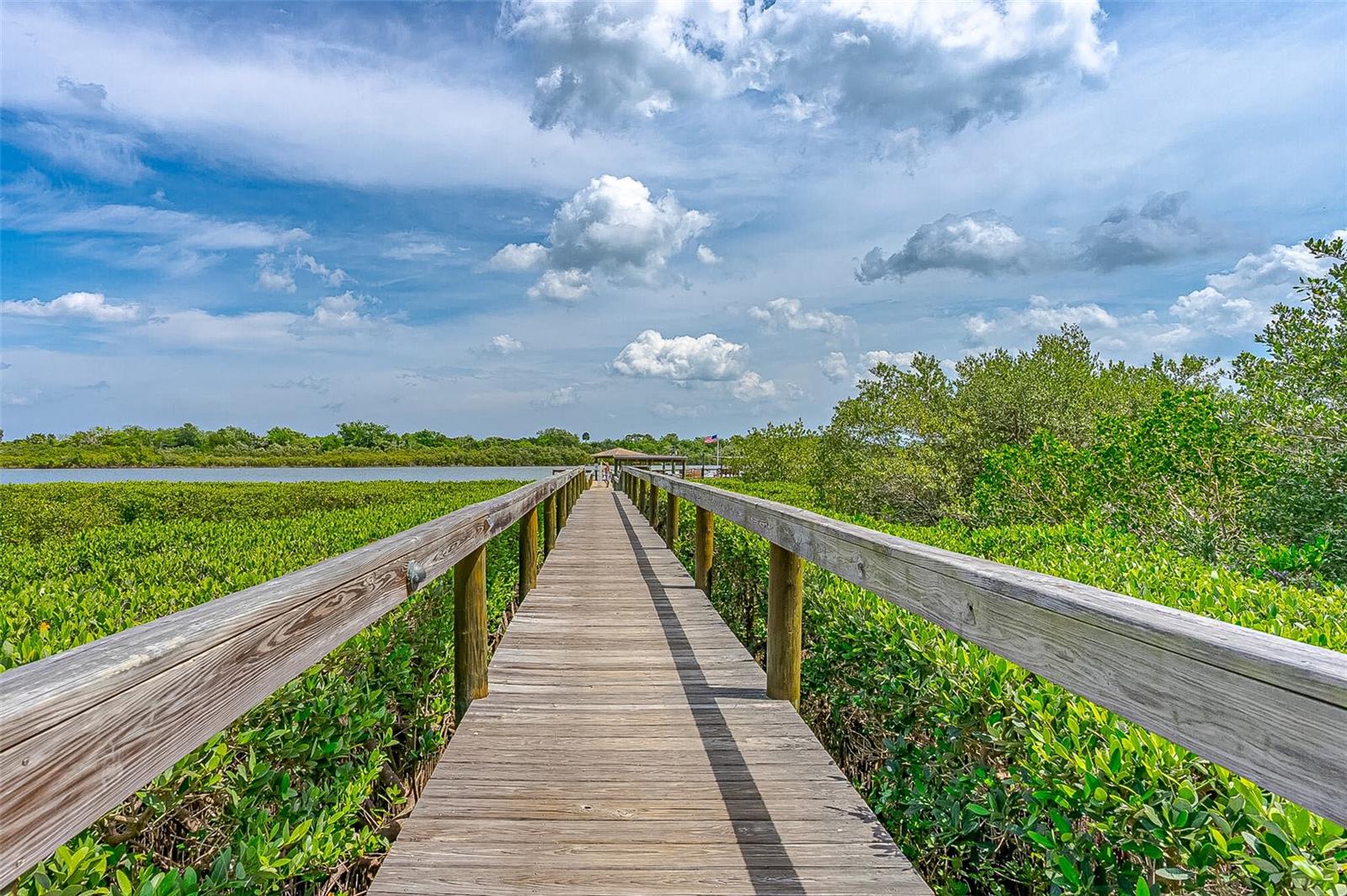 Image 52 of 52 For 217 Schooner Avenue