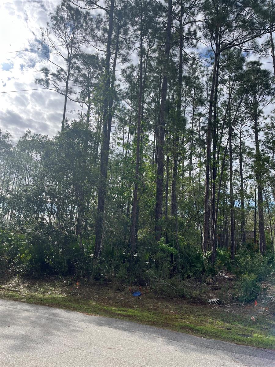 Image 4 of 4 For 14 Reybury Lane