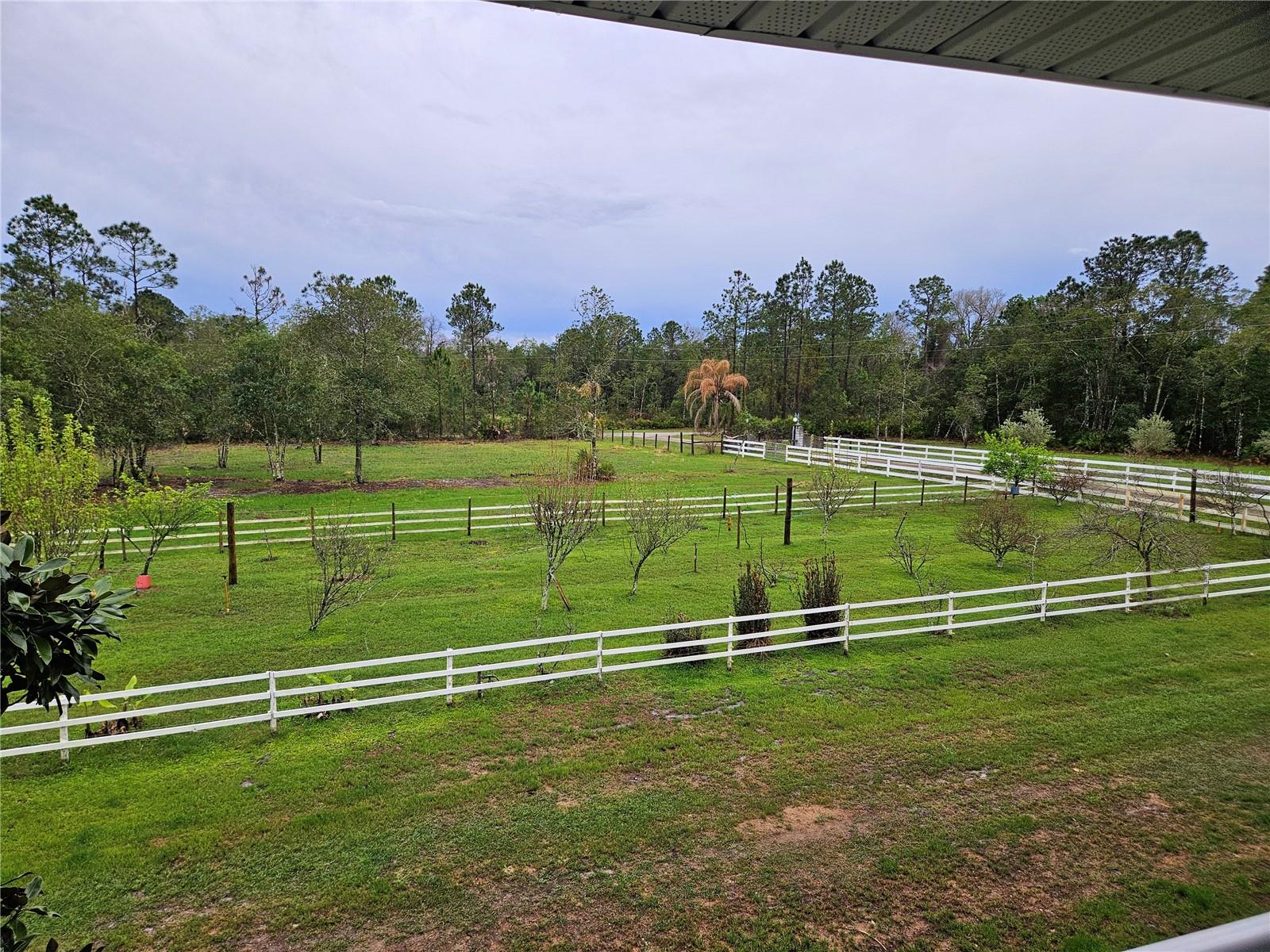 Image 93 of 100 For 980 And 960 Still Road