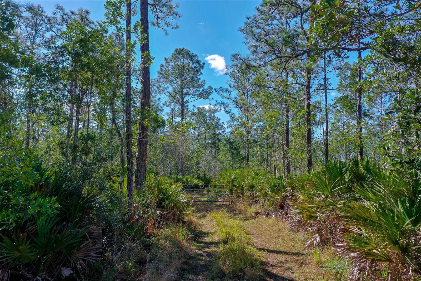 Image 21 of 27 For 330 Damascus Road