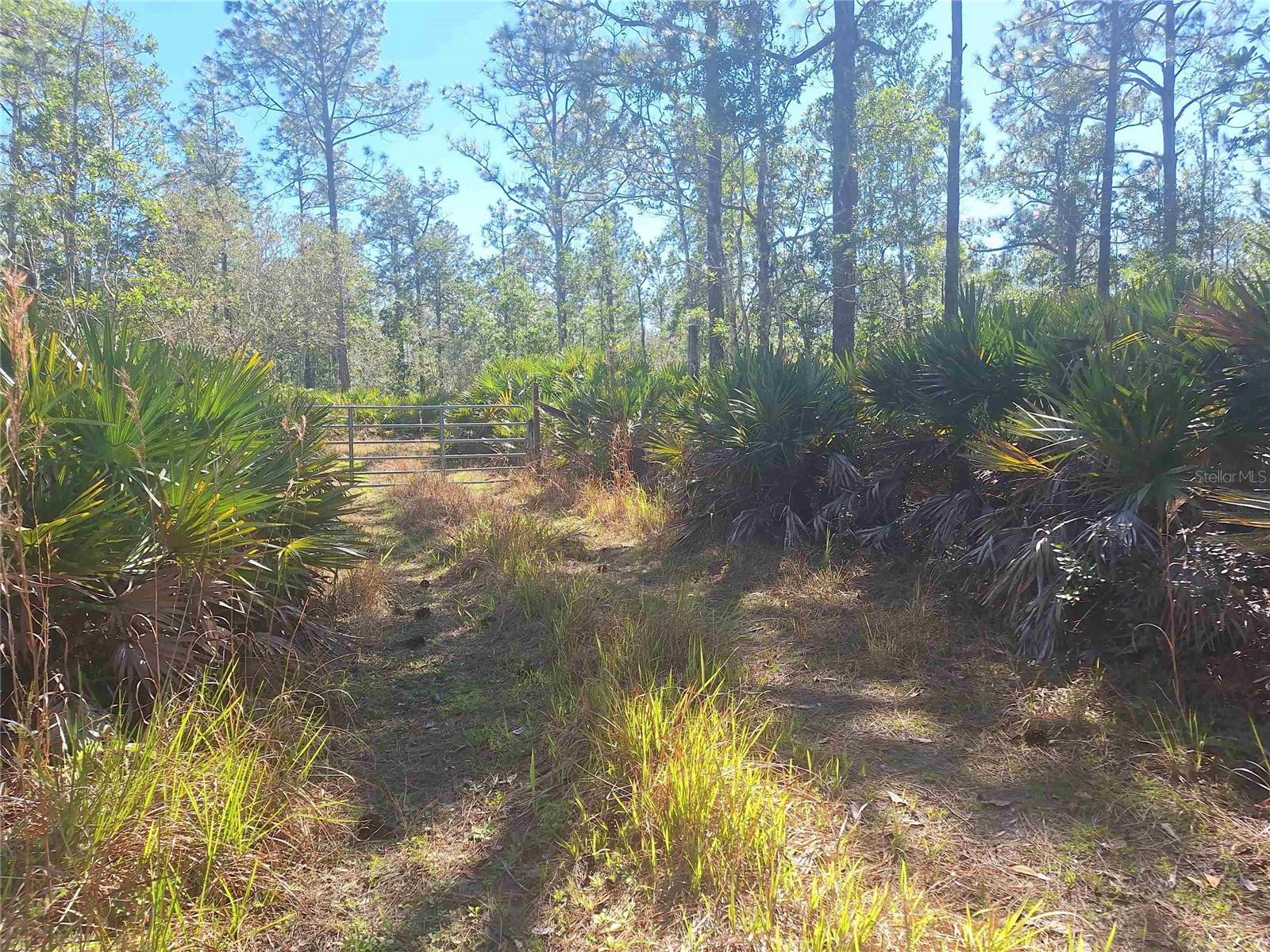 Image 23 of 27 For 330 Damascus Road