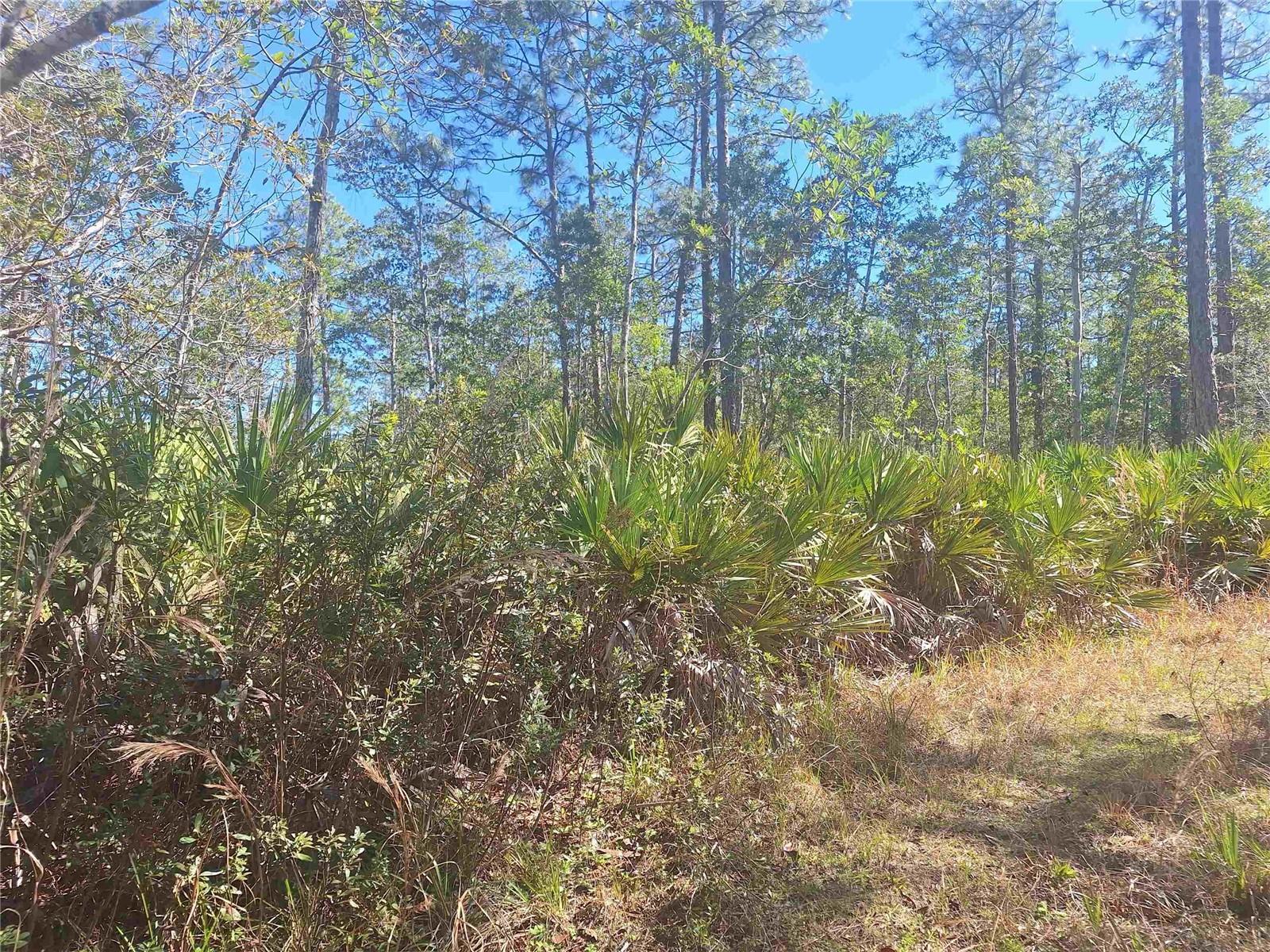 Image 24 of 27 For 330 Damascus Road