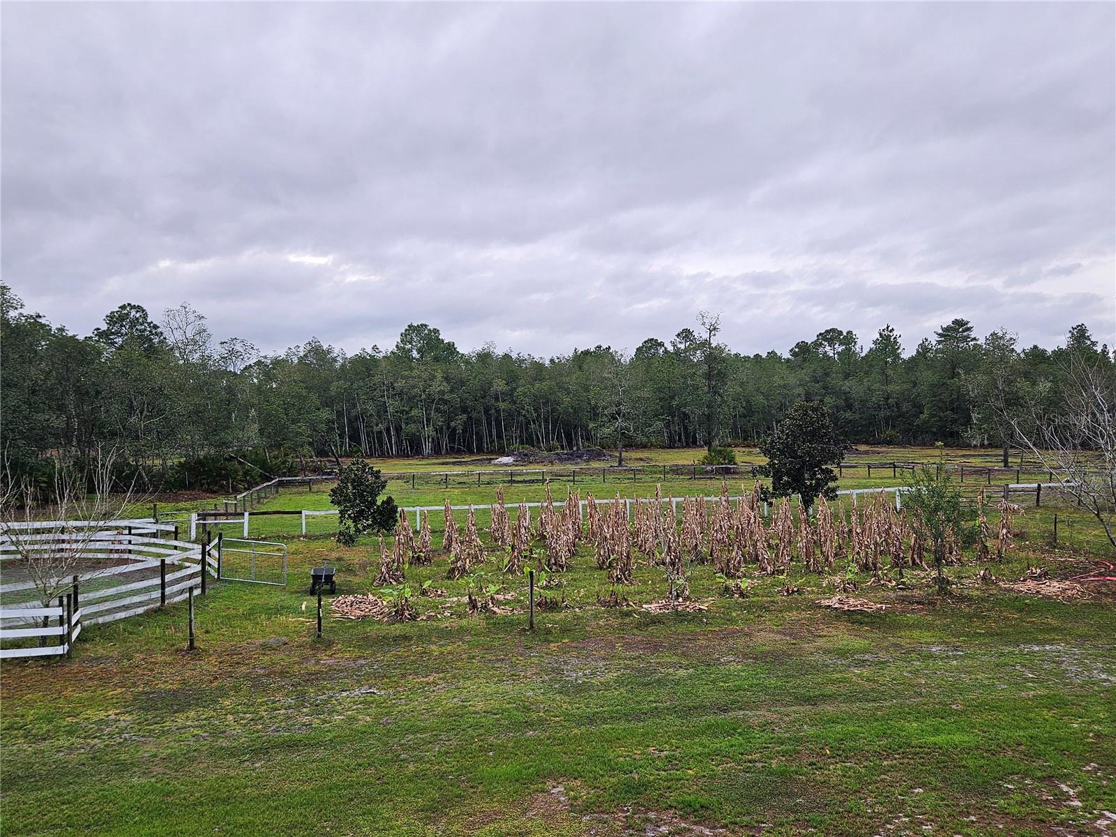 Image 44 of 49 For 980 Still Road