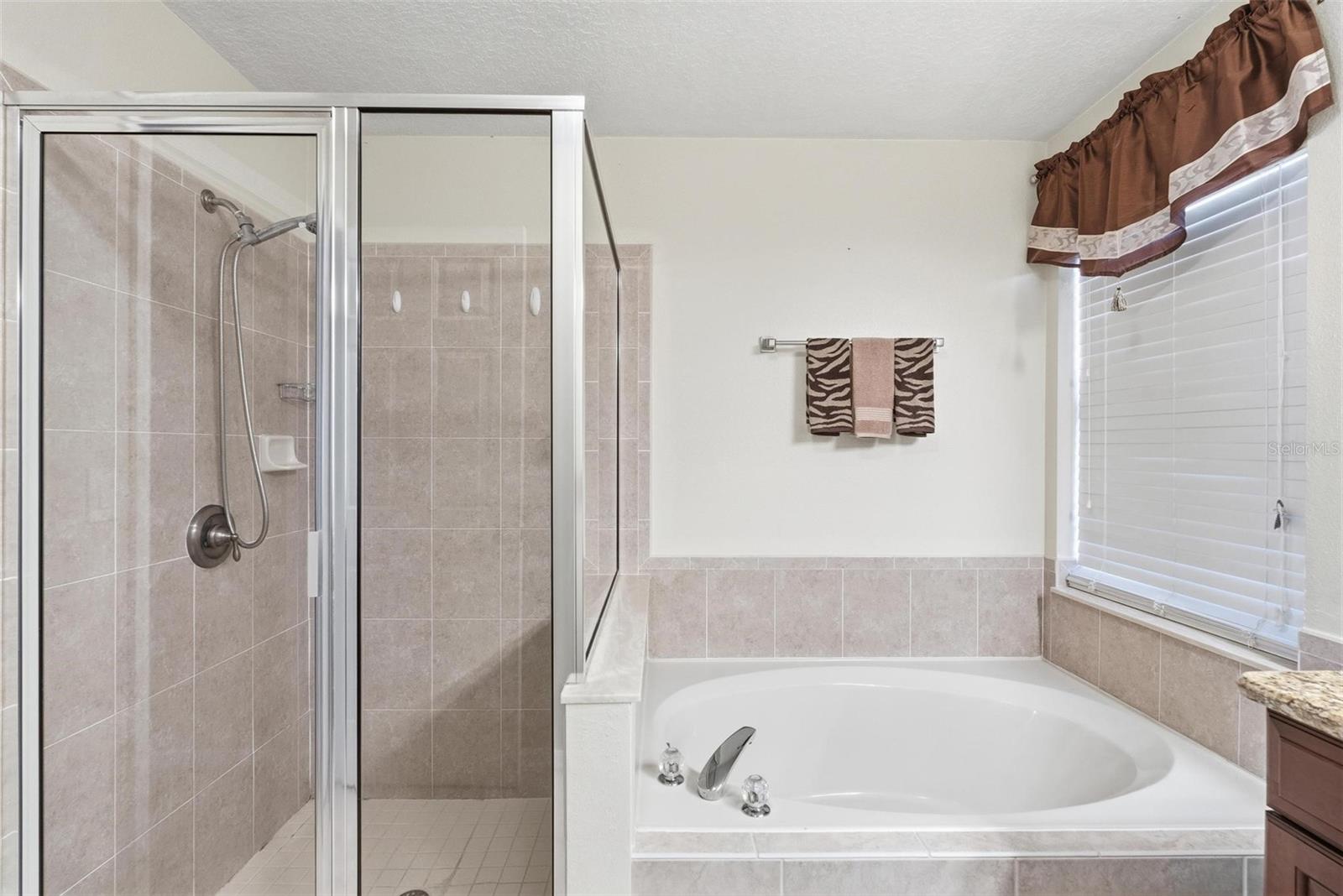 Image 18 of 31 For 656 Gainsboro Street