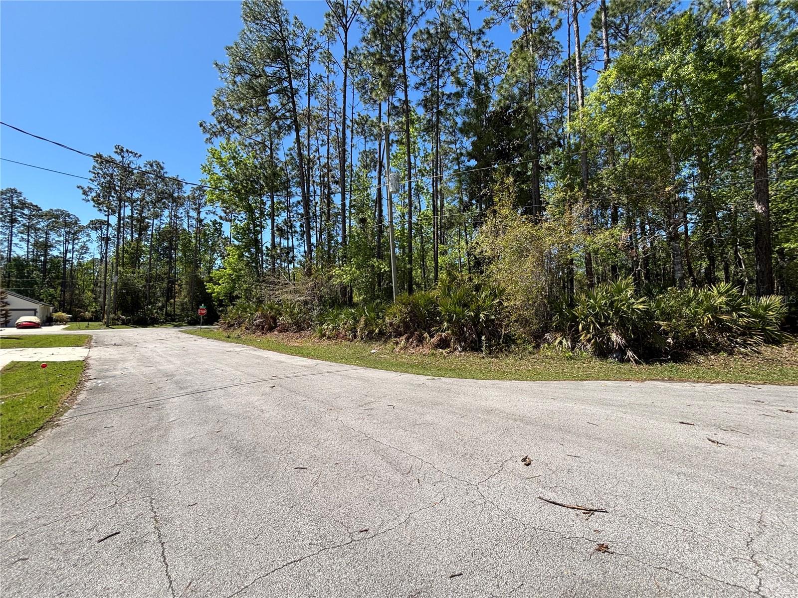 Image 5 of 5 For 1 Echo Place