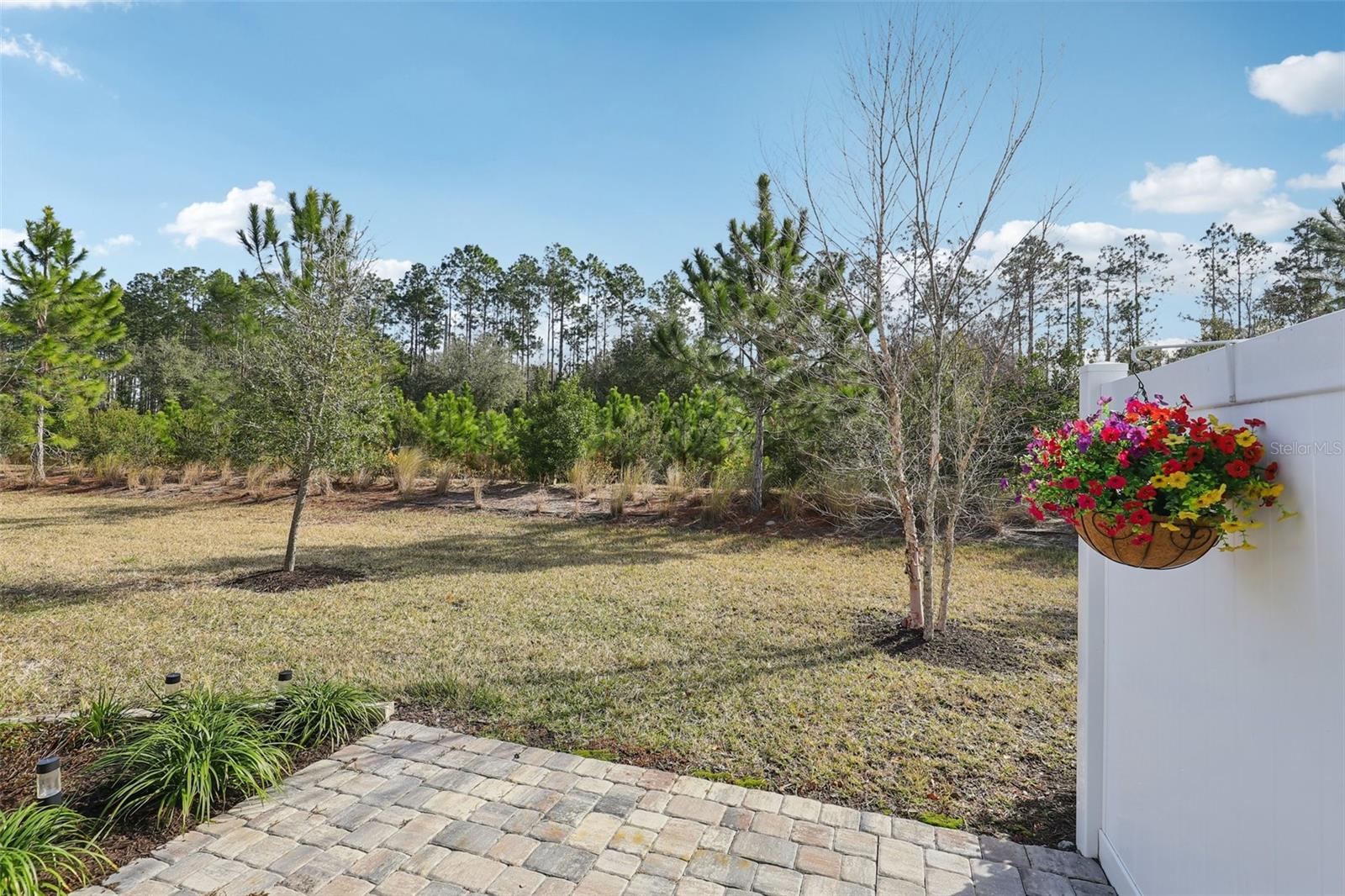 Image 36 of 41 For 322 Pine Bluff Drive