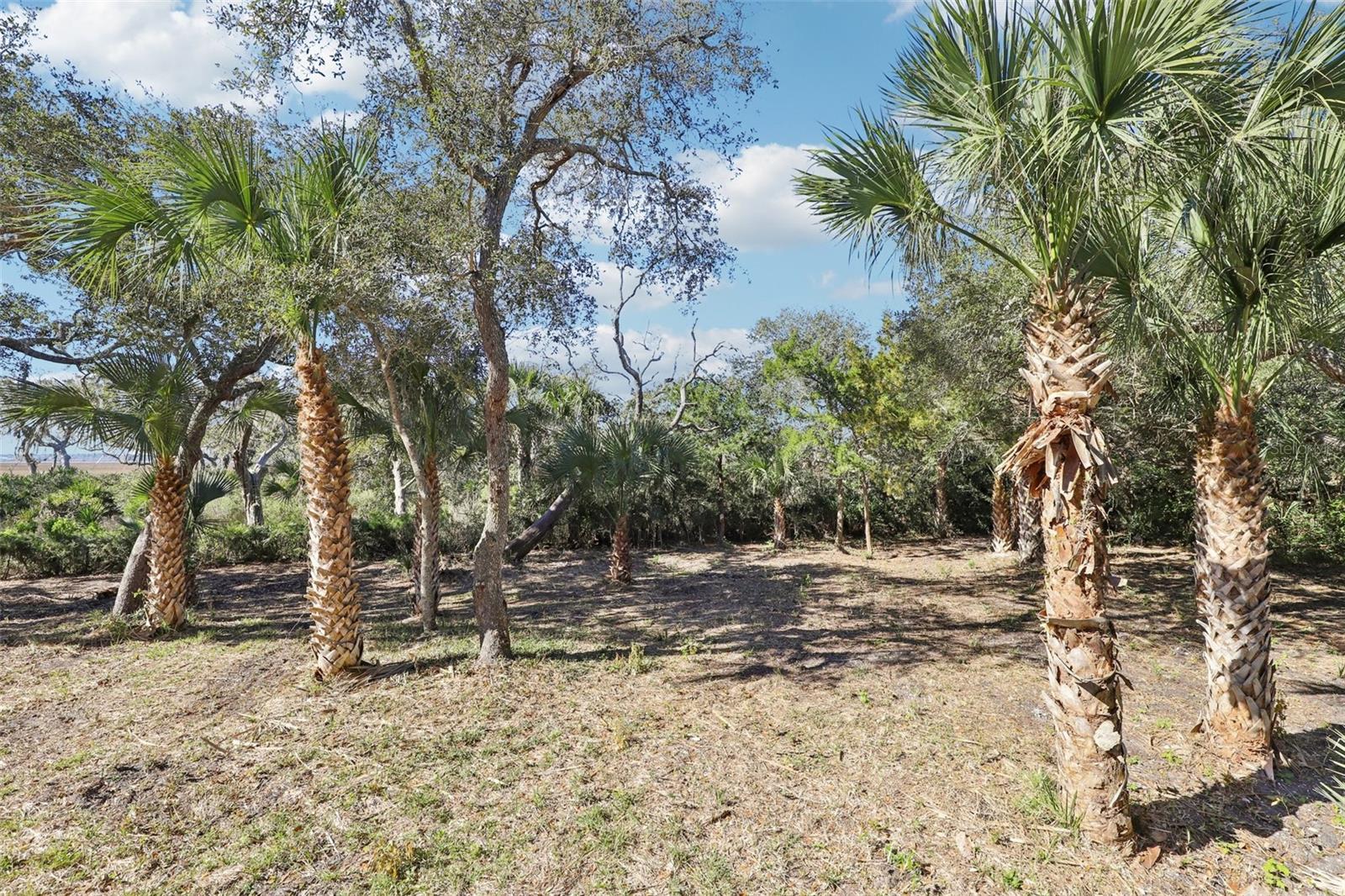 Image 43 of 55 For 205 Ocean Grande Drive 104