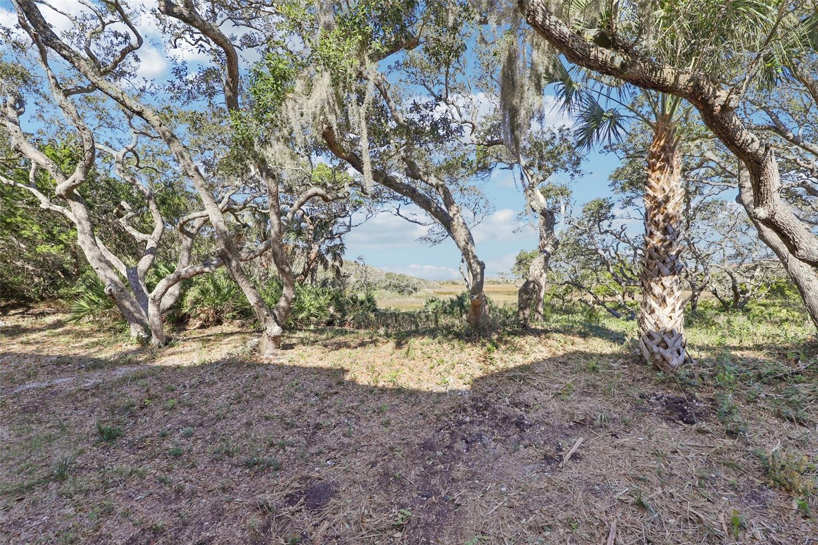 Image 46 of 55 For 205 Ocean Grande Drive 104