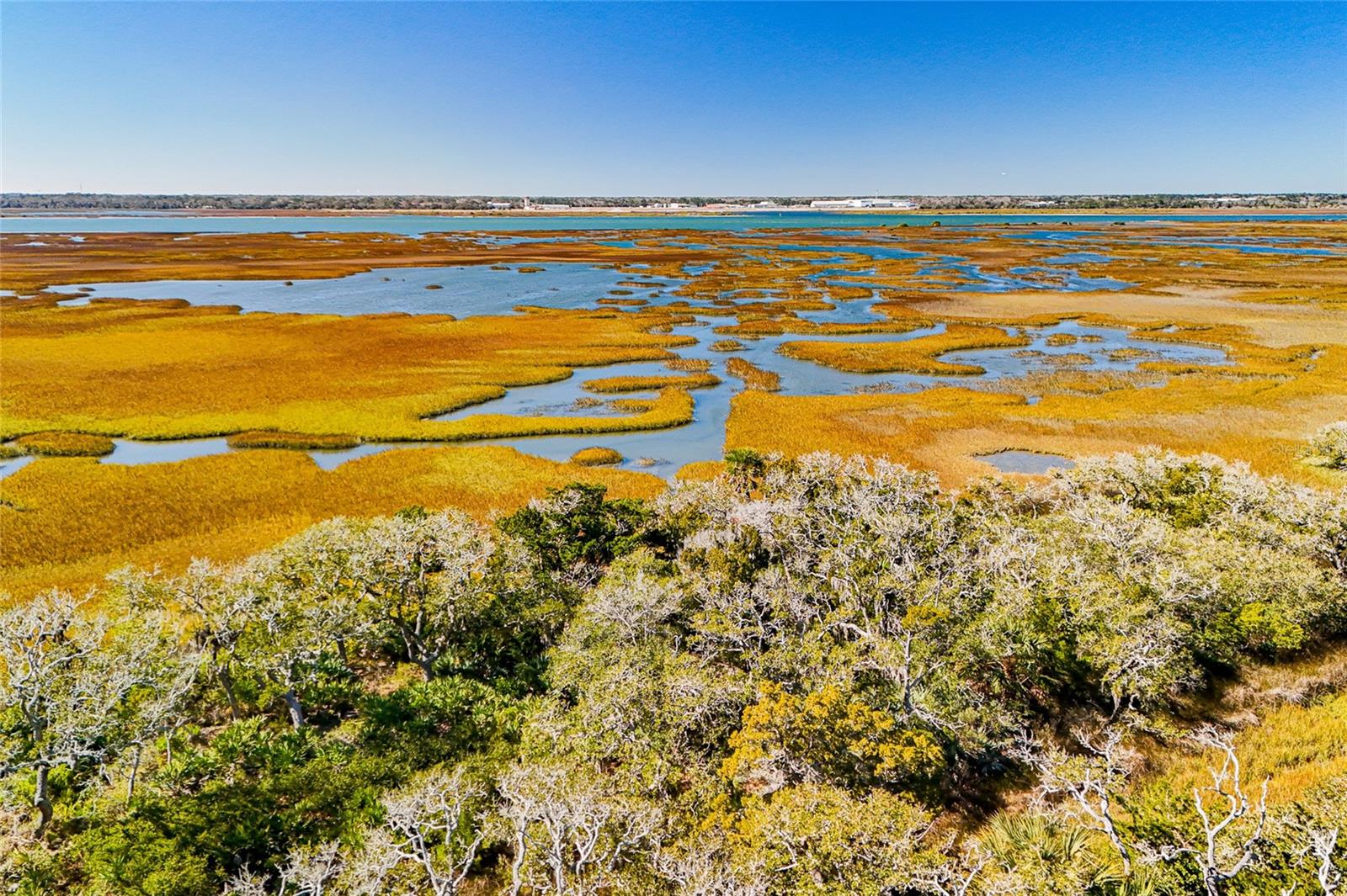 Image 52 of 55 For 205 Ocean Grande Drive 104