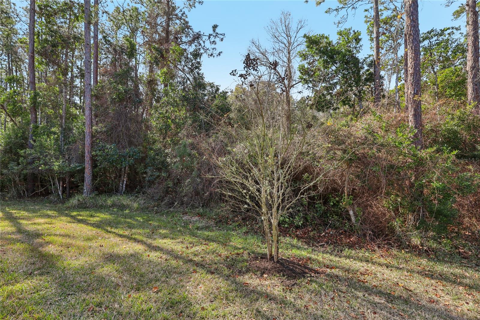 Image 58 of 58 For 544 Enrede Lane